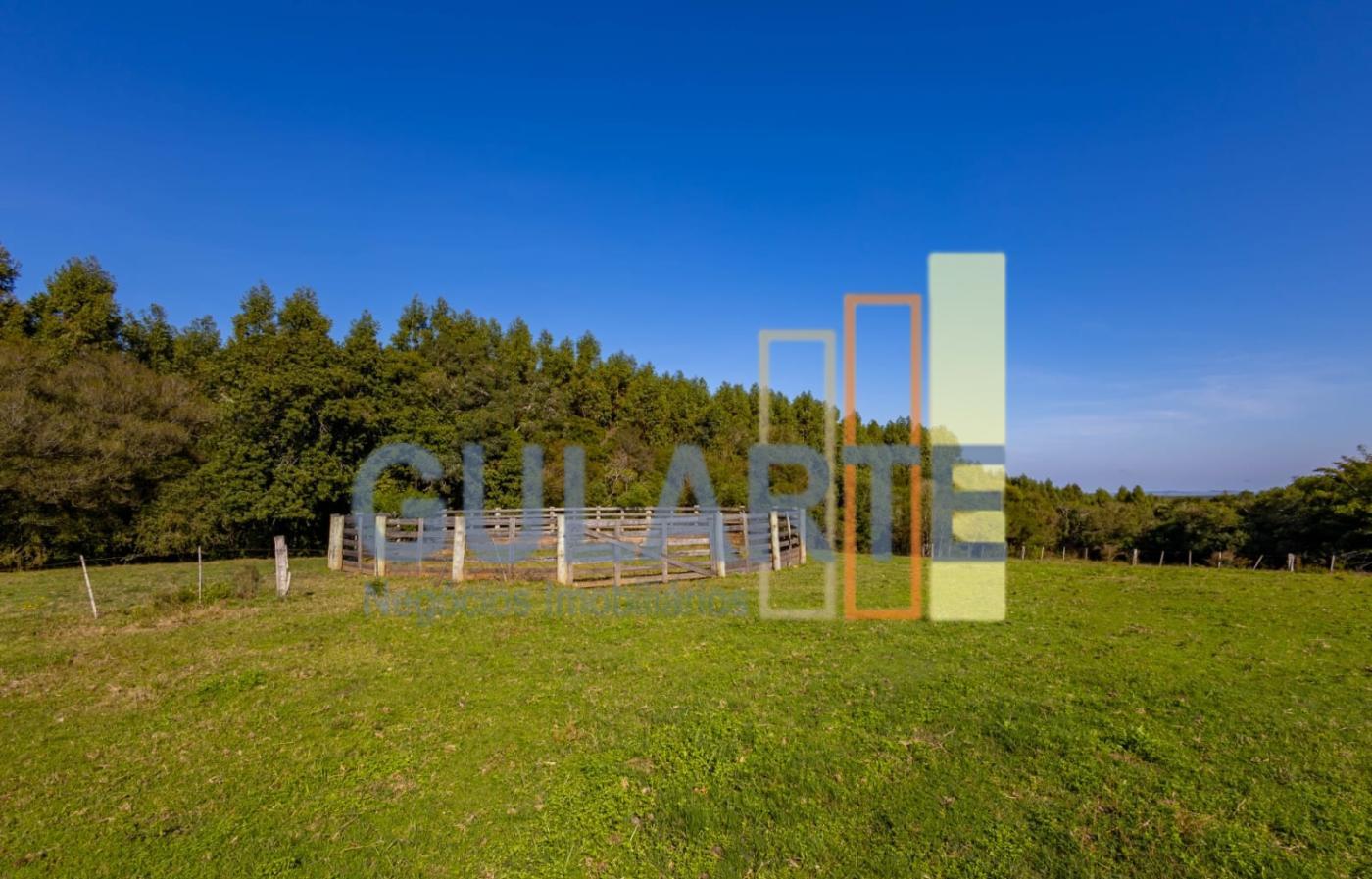 Fazenda à venda, 18m² - Foto 3