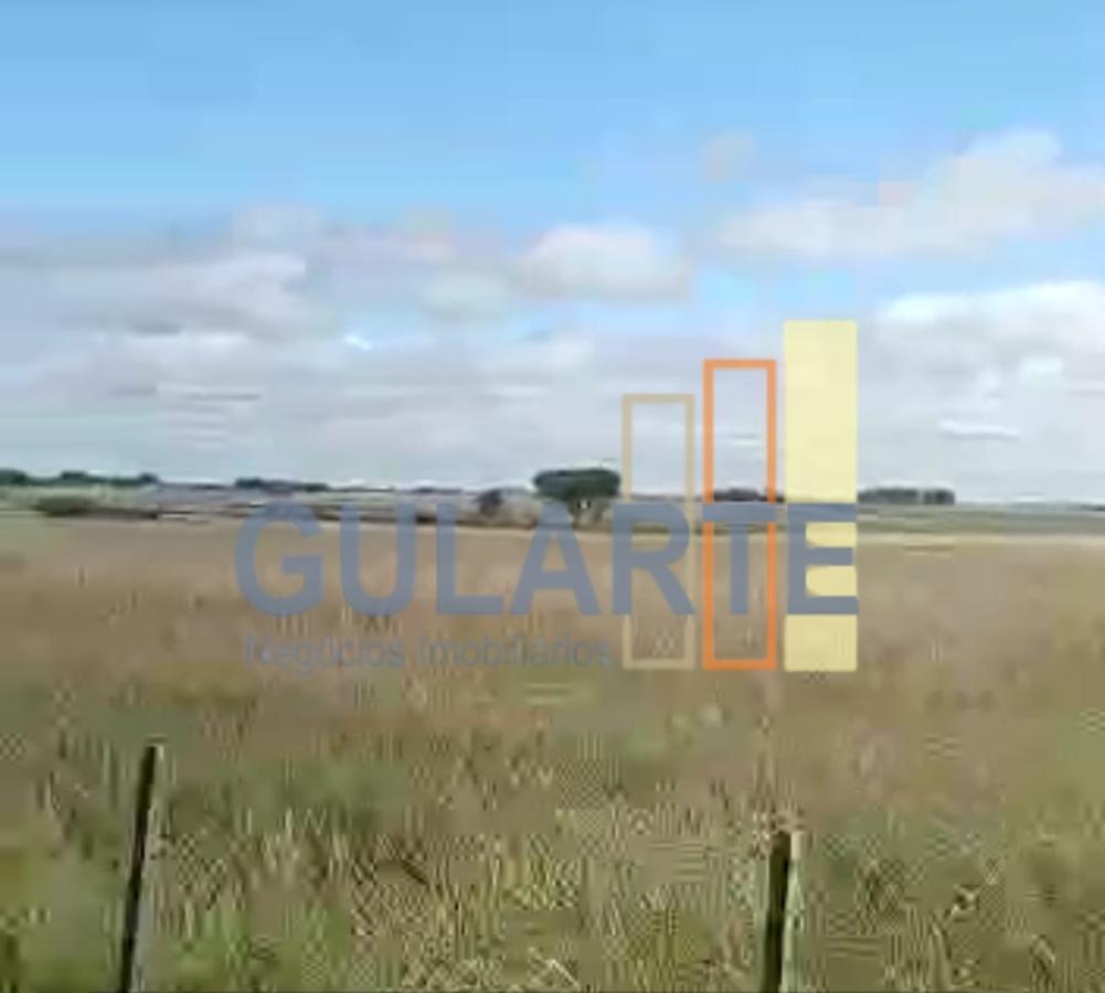 Fazenda à venda, 401m² - Foto 6