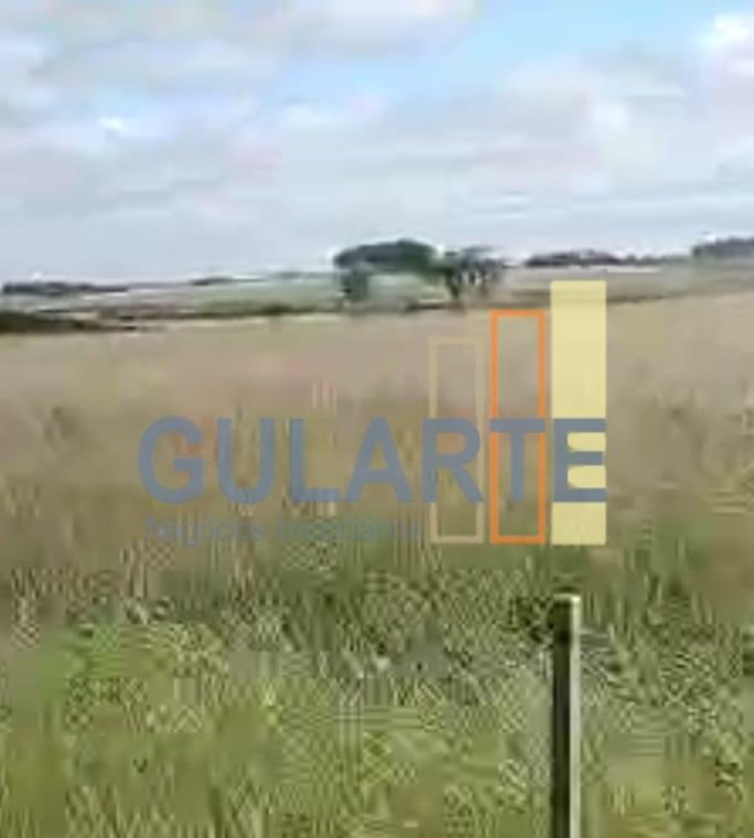 Fazenda à venda, 401m² - Foto 7