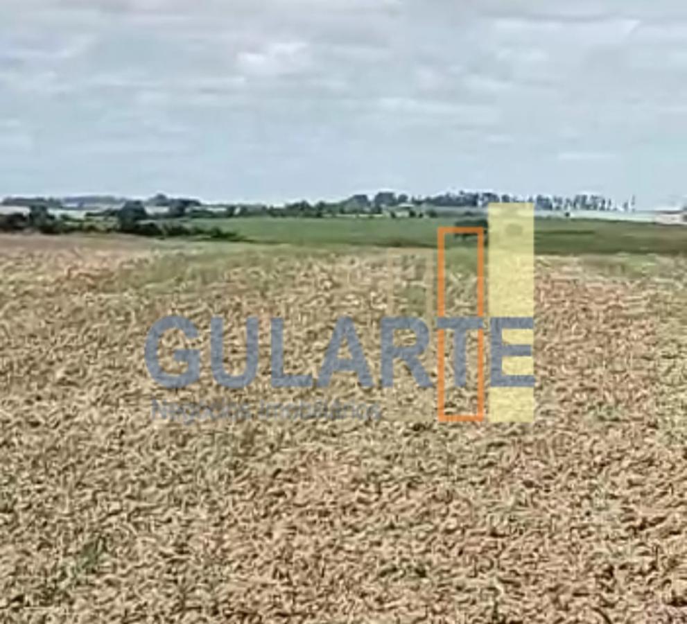 Fazenda à venda, 401m² - Foto 10