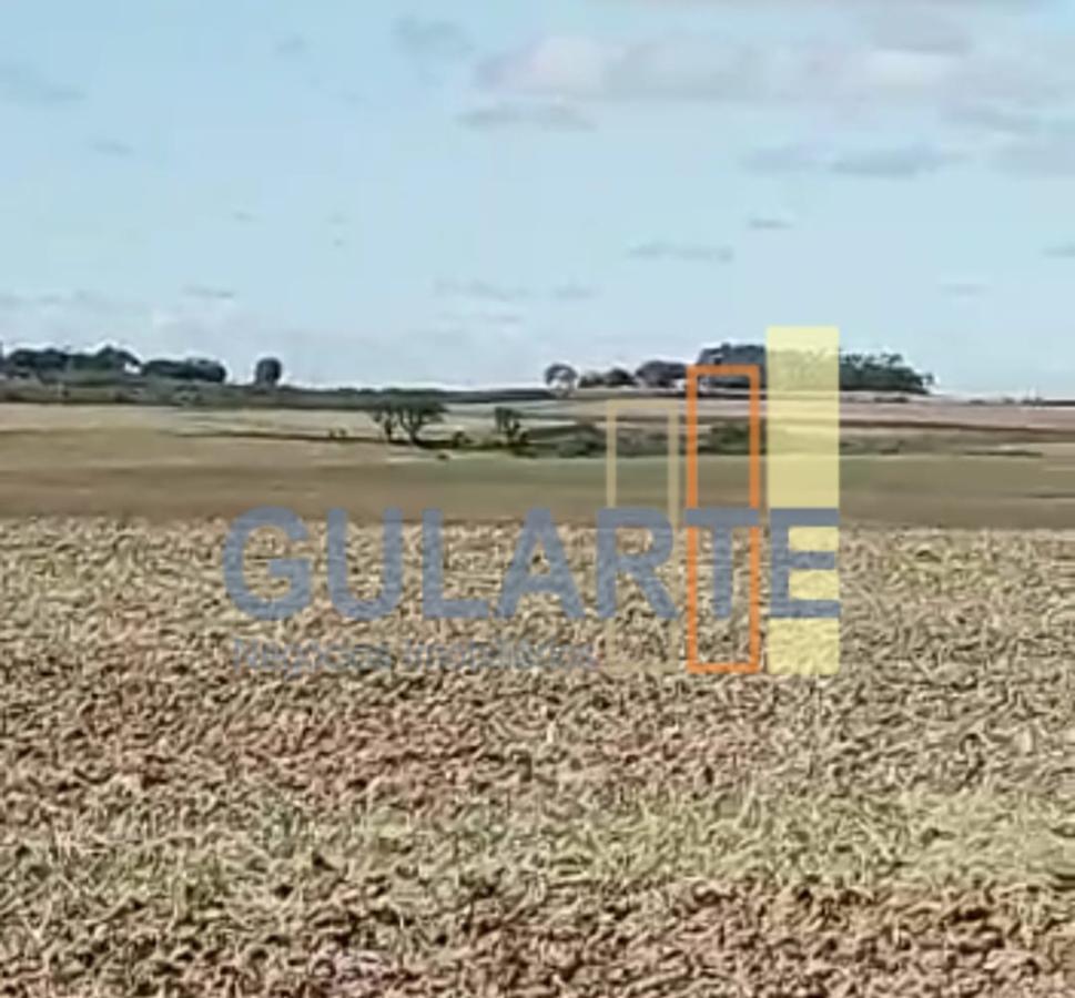 Fazenda à venda, 401m² - Foto 13
