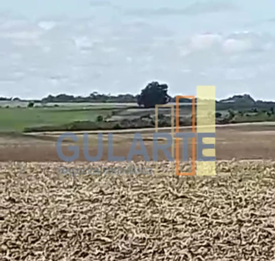 Fazenda à venda, 401m² - Foto 15