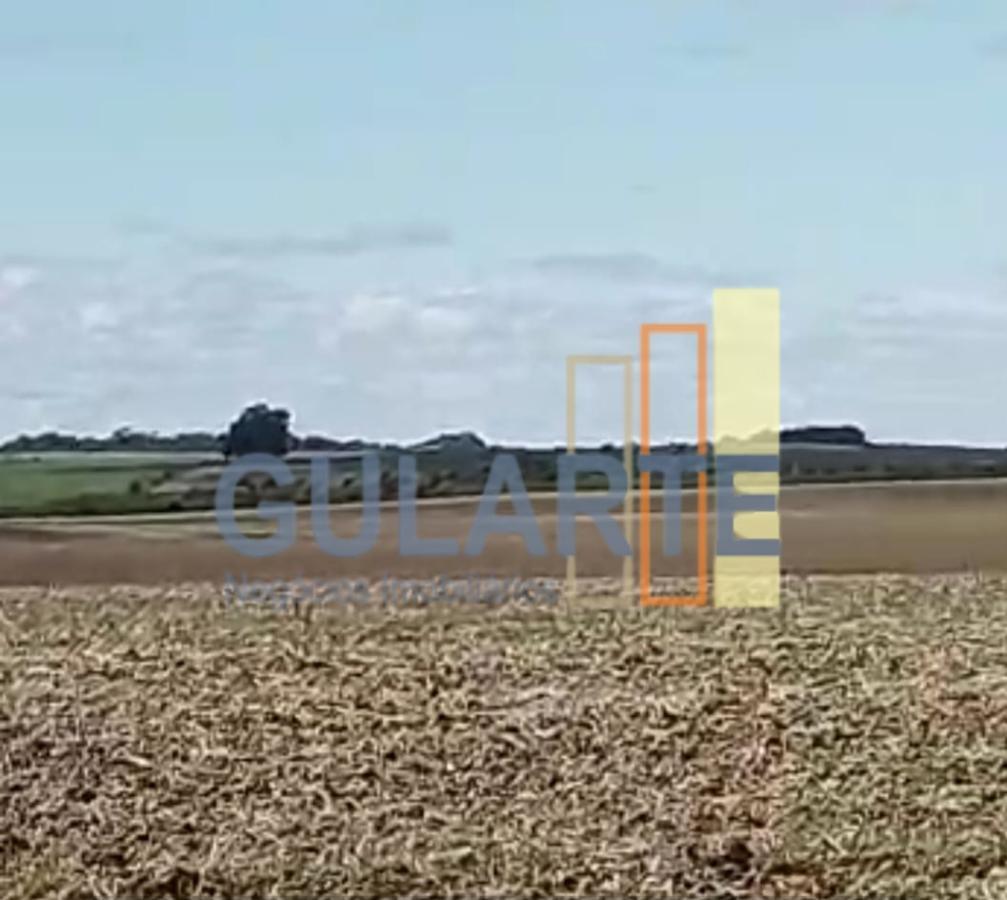 Fazenda à venda, 401m² - Foto 14