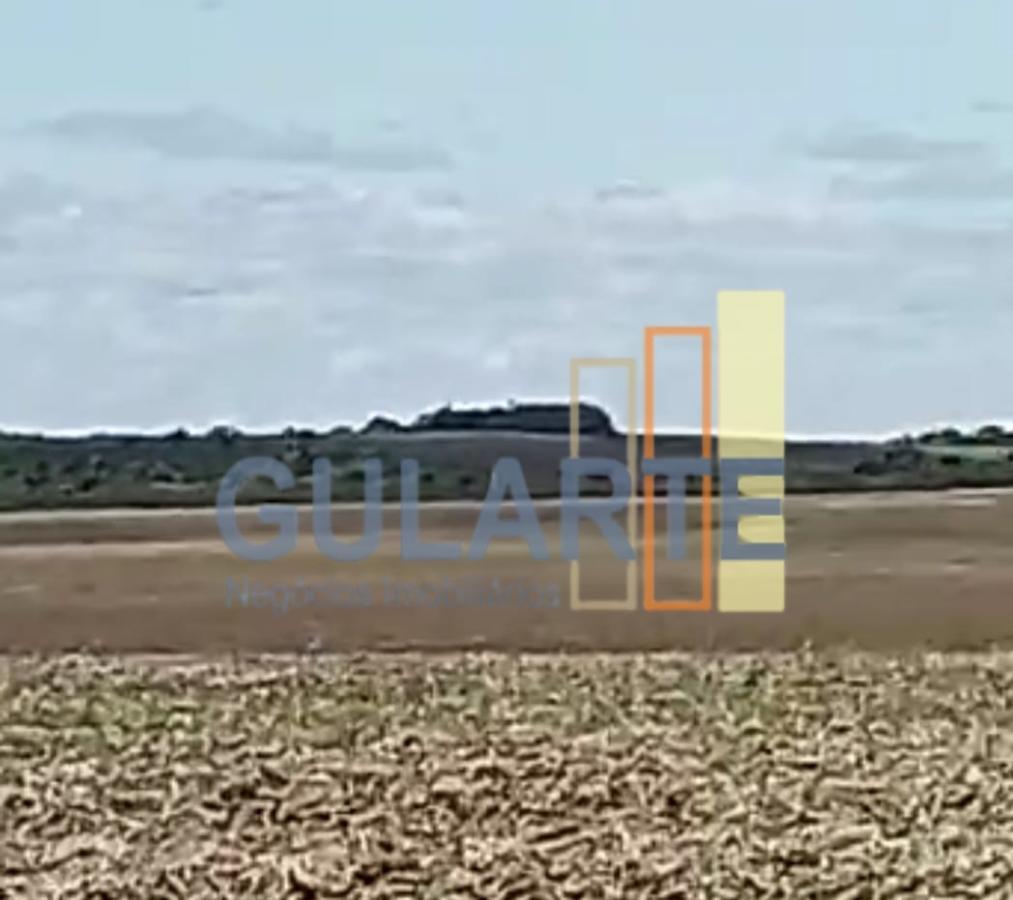 Fazenda à venda, 401m² - Foto 16