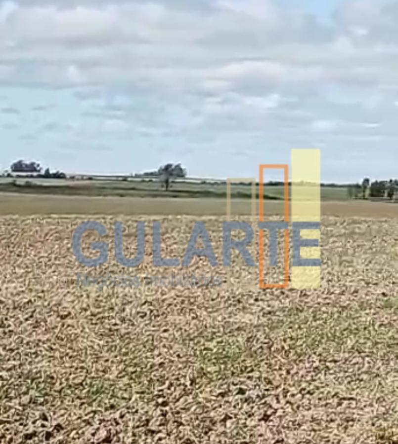 Fazenda à venda, 401m² - Foto 17
