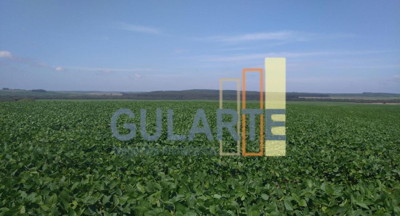 Fazenda à venda, 6250000m² - Foto 1