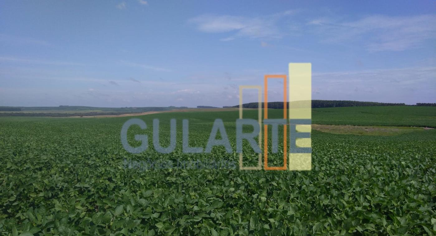 Fazenda à venda, 6250000m² - Foto 3