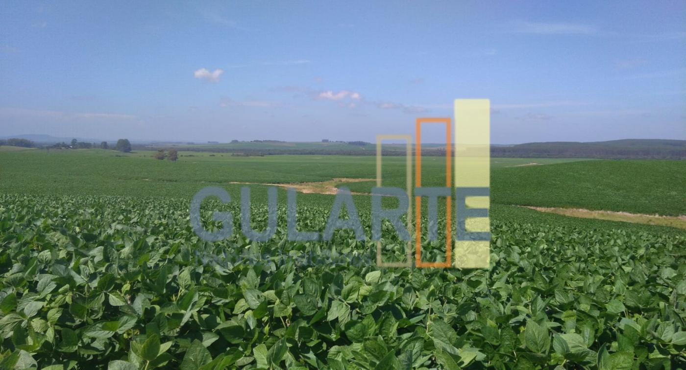 Fazenda à venda, 6250000m² - Foto 6