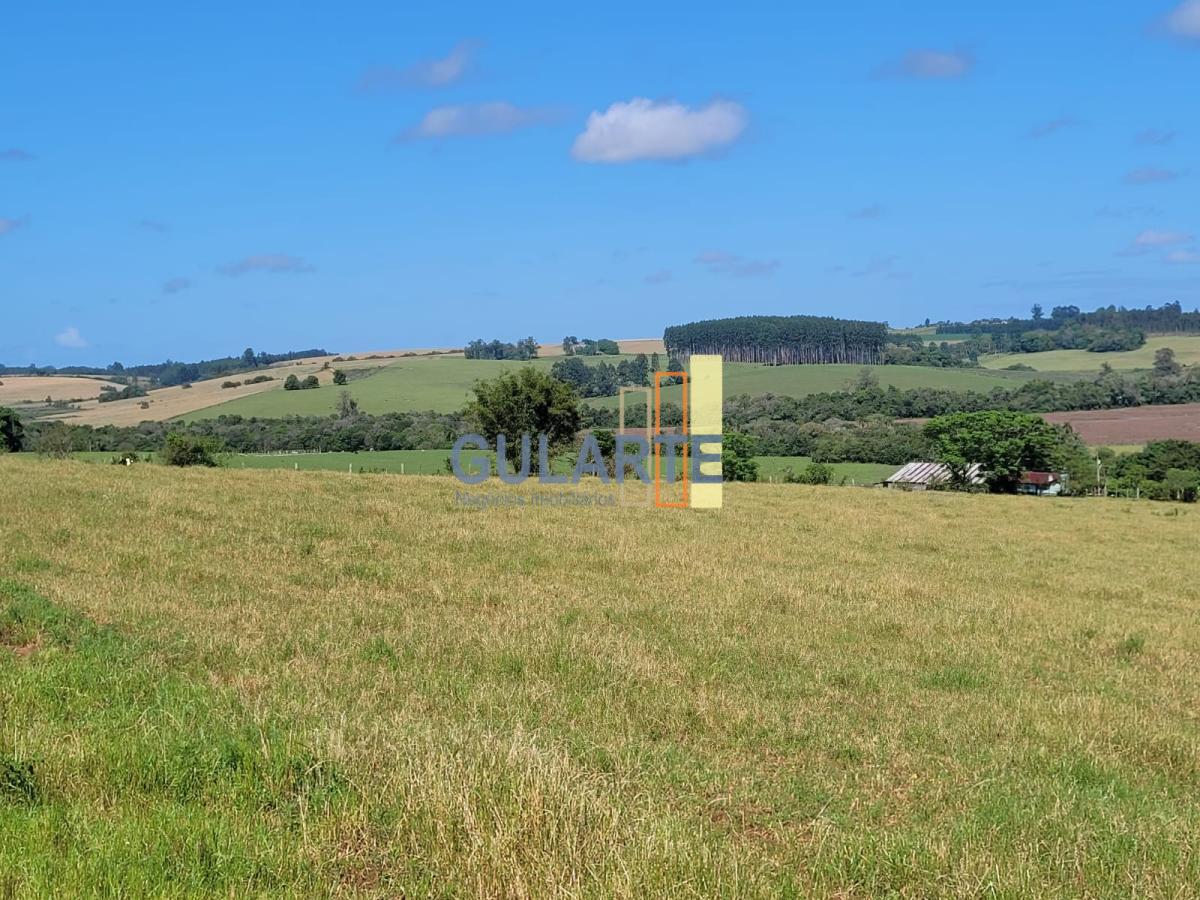 Fazenda à venda, 165m² - Foto 3