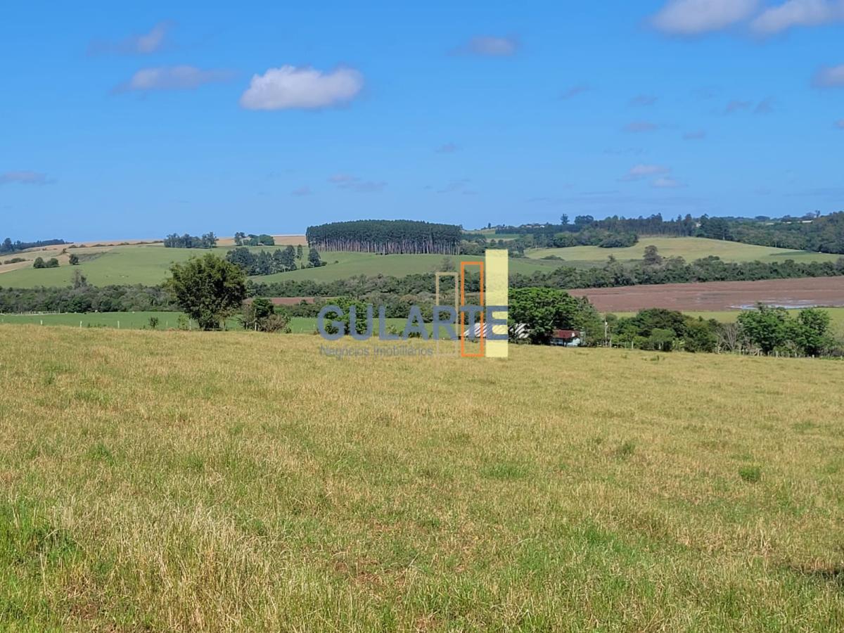 Fazenda à venda, 165m² - Foto 4