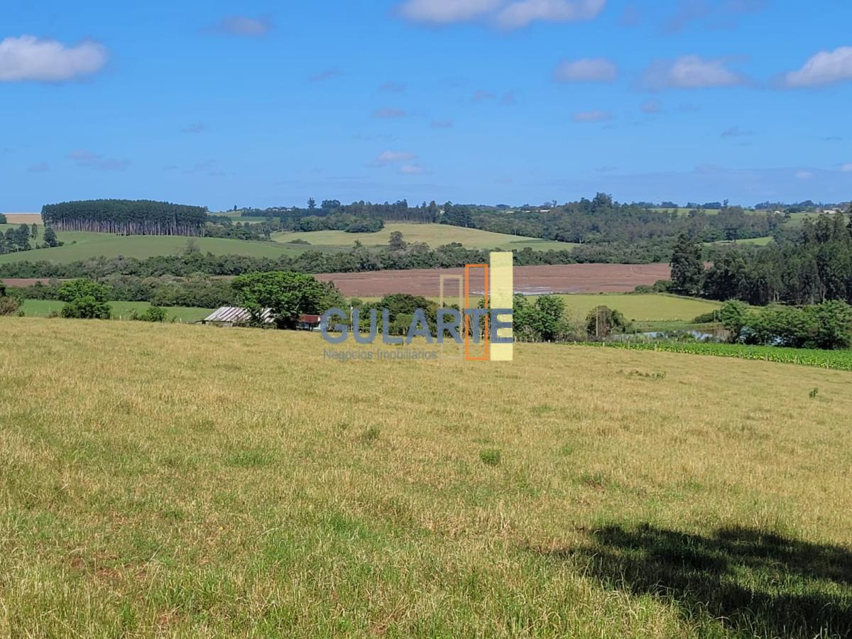 Fazenda à venda, 165m² - Foto 6