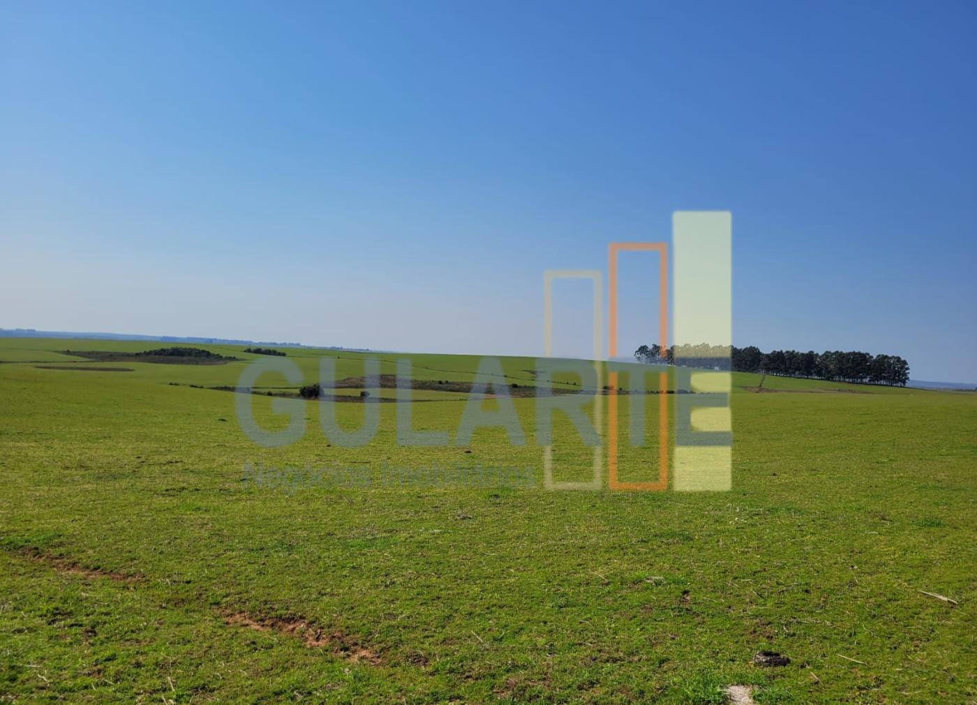 Fazenda, 228 hectares - Foto 1