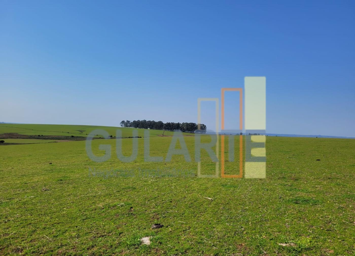 Fazenda, 228 hectares - Foto 2