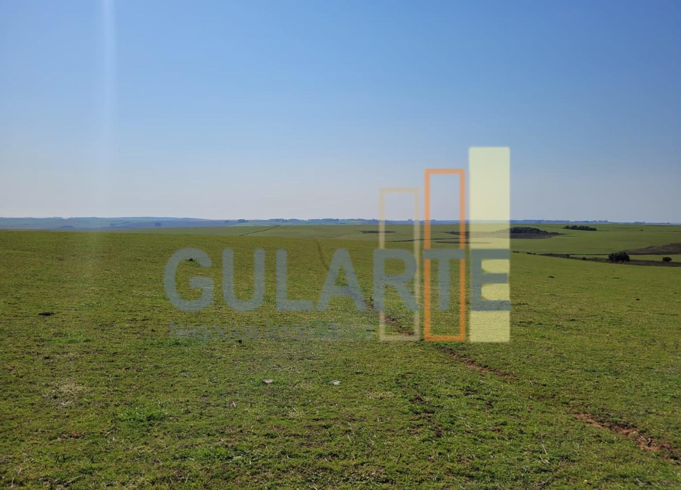 Fazenda, 228 hectares - Foto 3