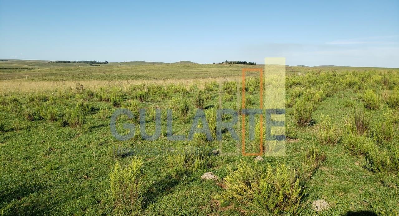 Fazenda, 427 hectares - Foto 7