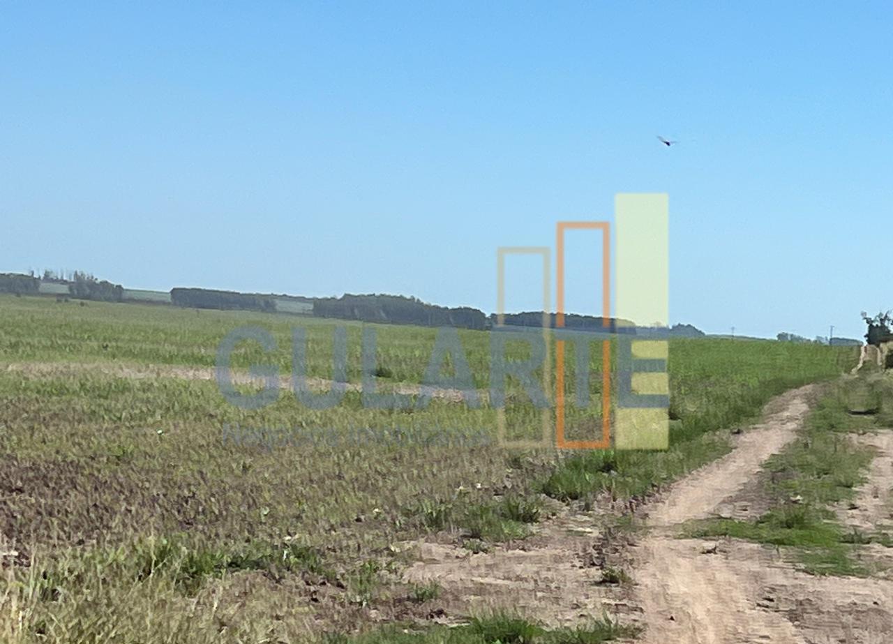 Fazenda, 427 hectares - Foto 5