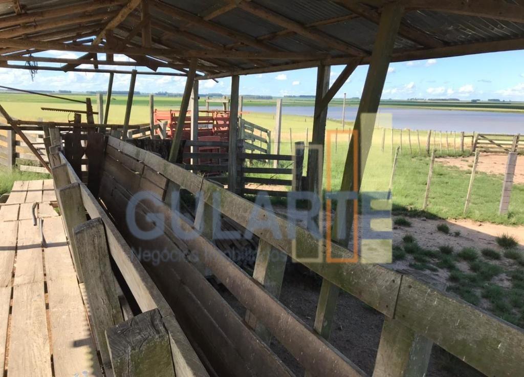 Fazenda, 427 hectares - Foto 10