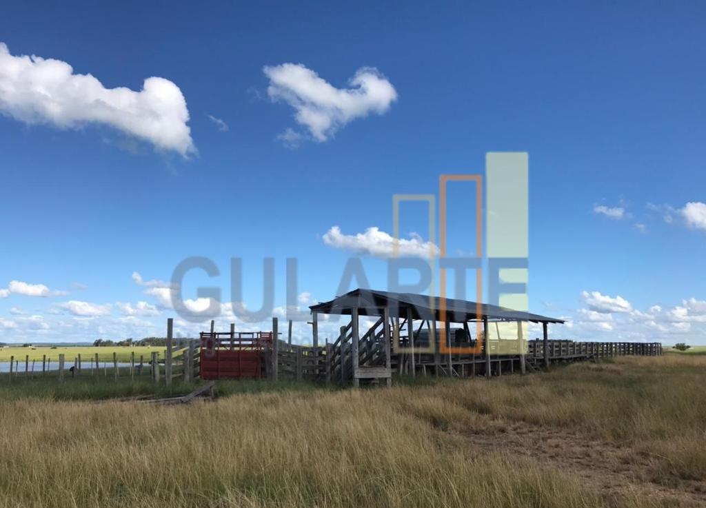 Fazenda, 427 hectares - Foto 9