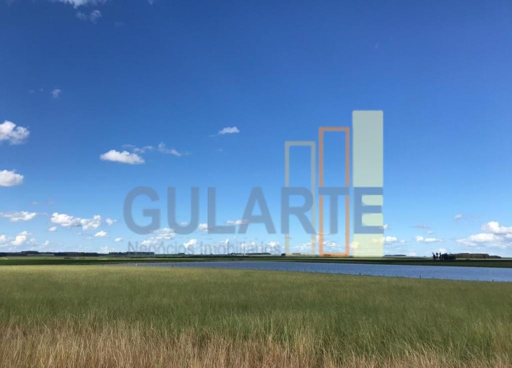 Fazenda, 427 hectares - Foto 3