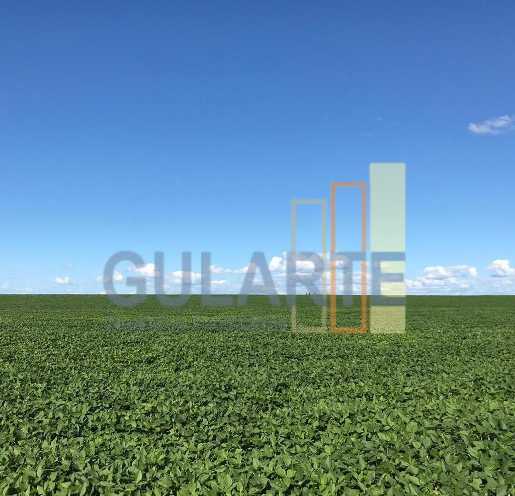 Fazenda, 427 hectares - Foto 1