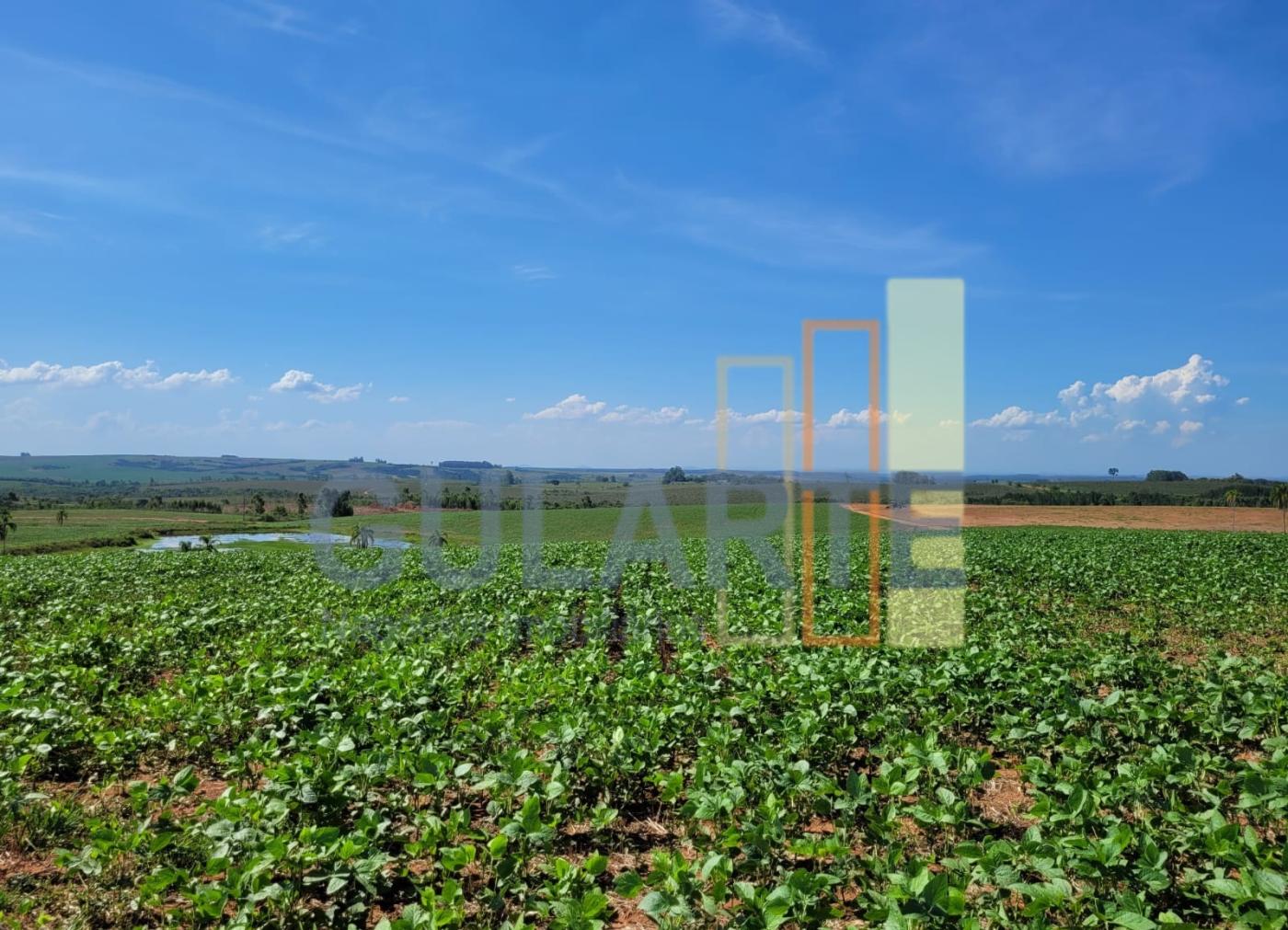 Fazenda, 268 hectares - Foto 1