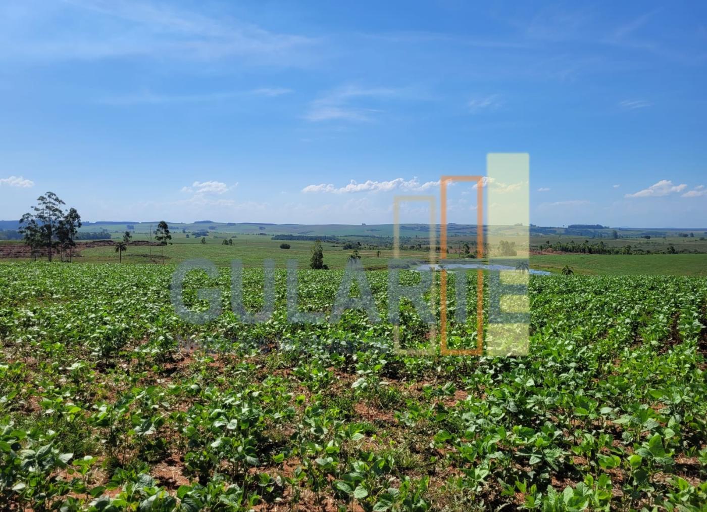 Fazenda, 268 hectares - Foto 2