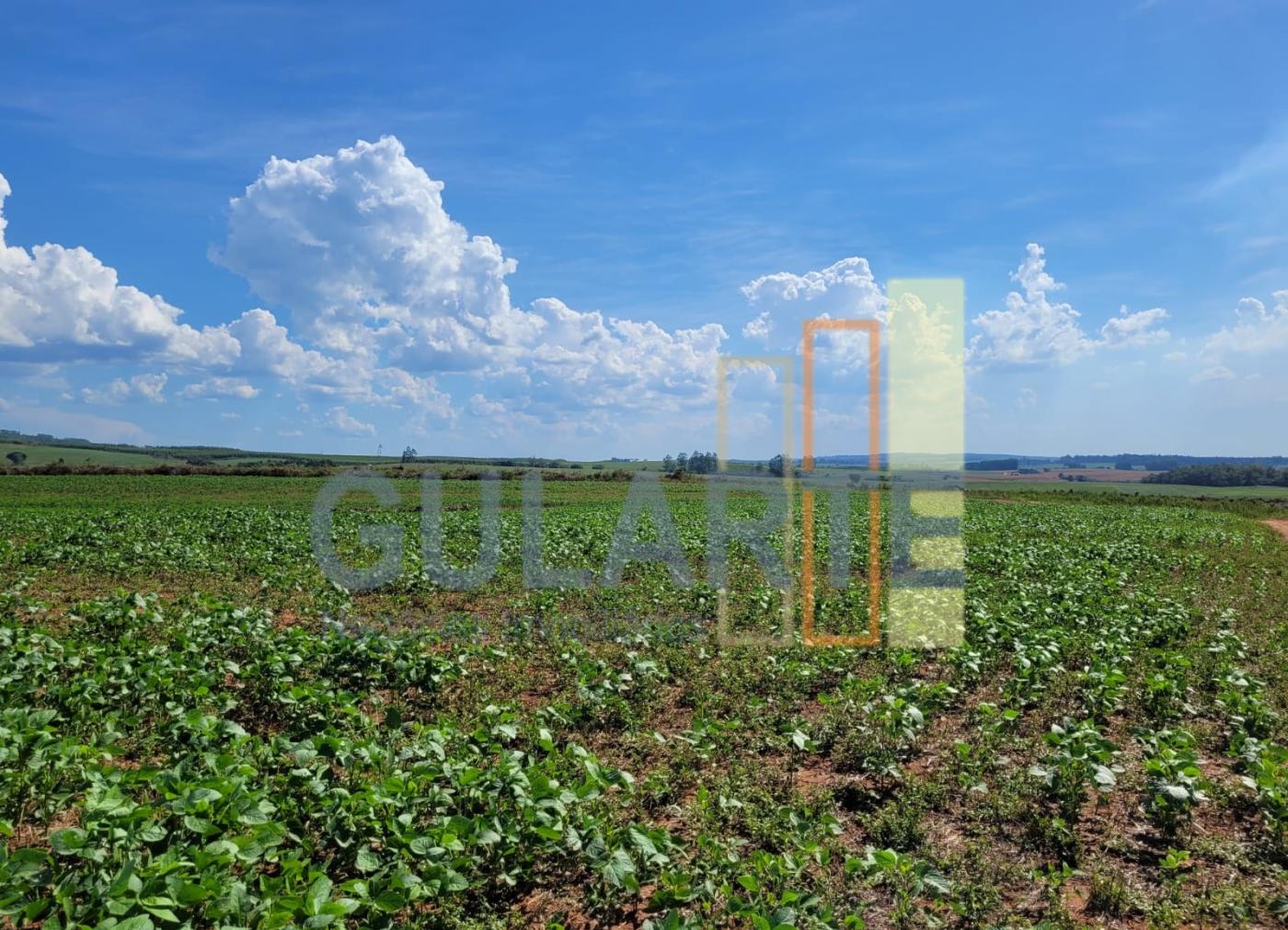 Fazenda, 268 hectares - Foto 5