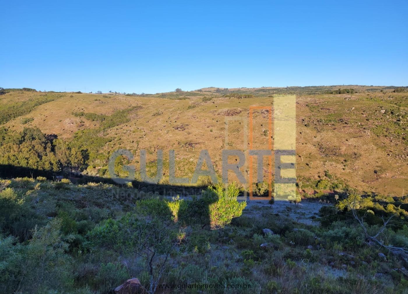 Fazenda à venda, 400m² - Foto 1