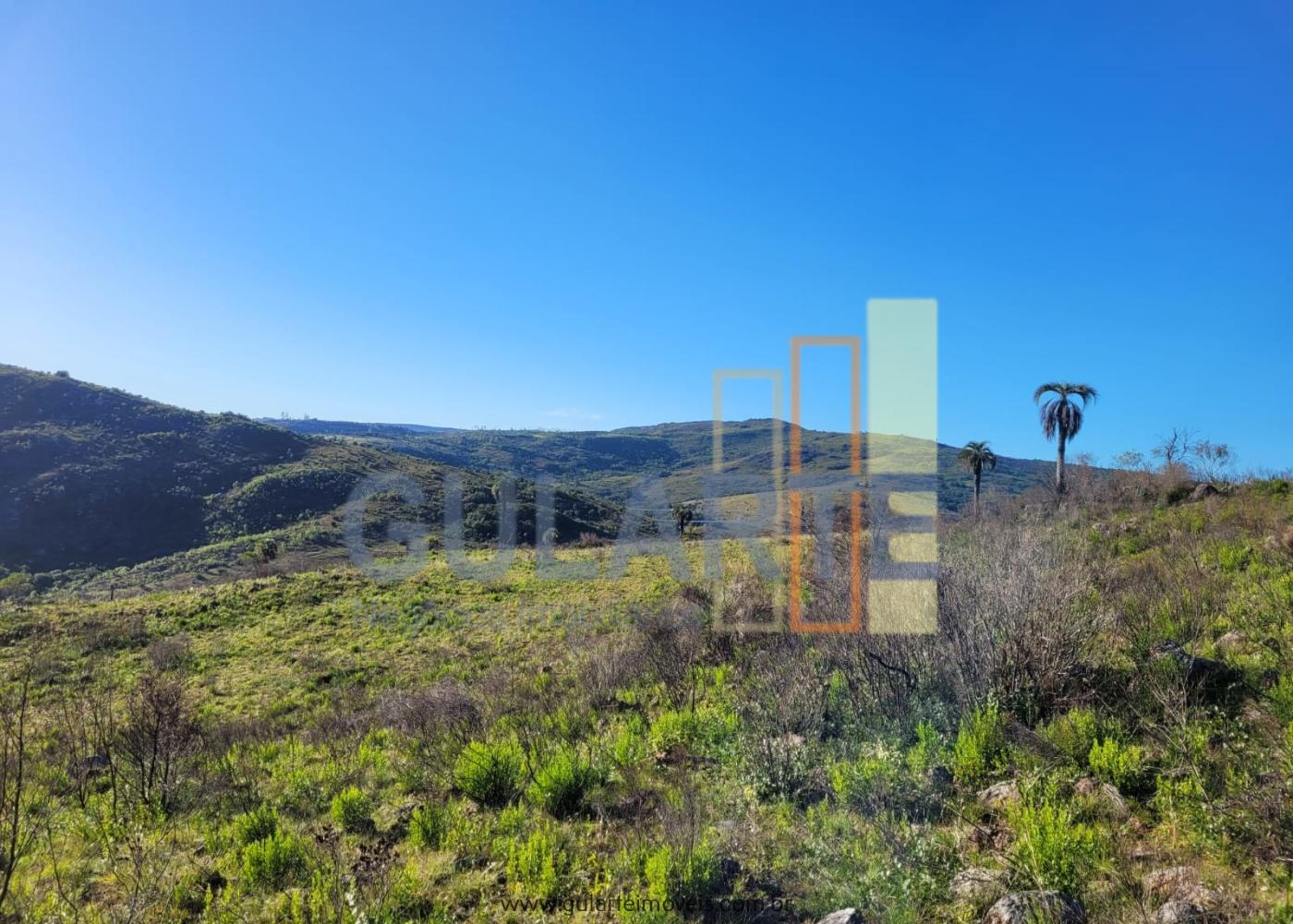 Fazenda à venda, 400m² - Foto 6