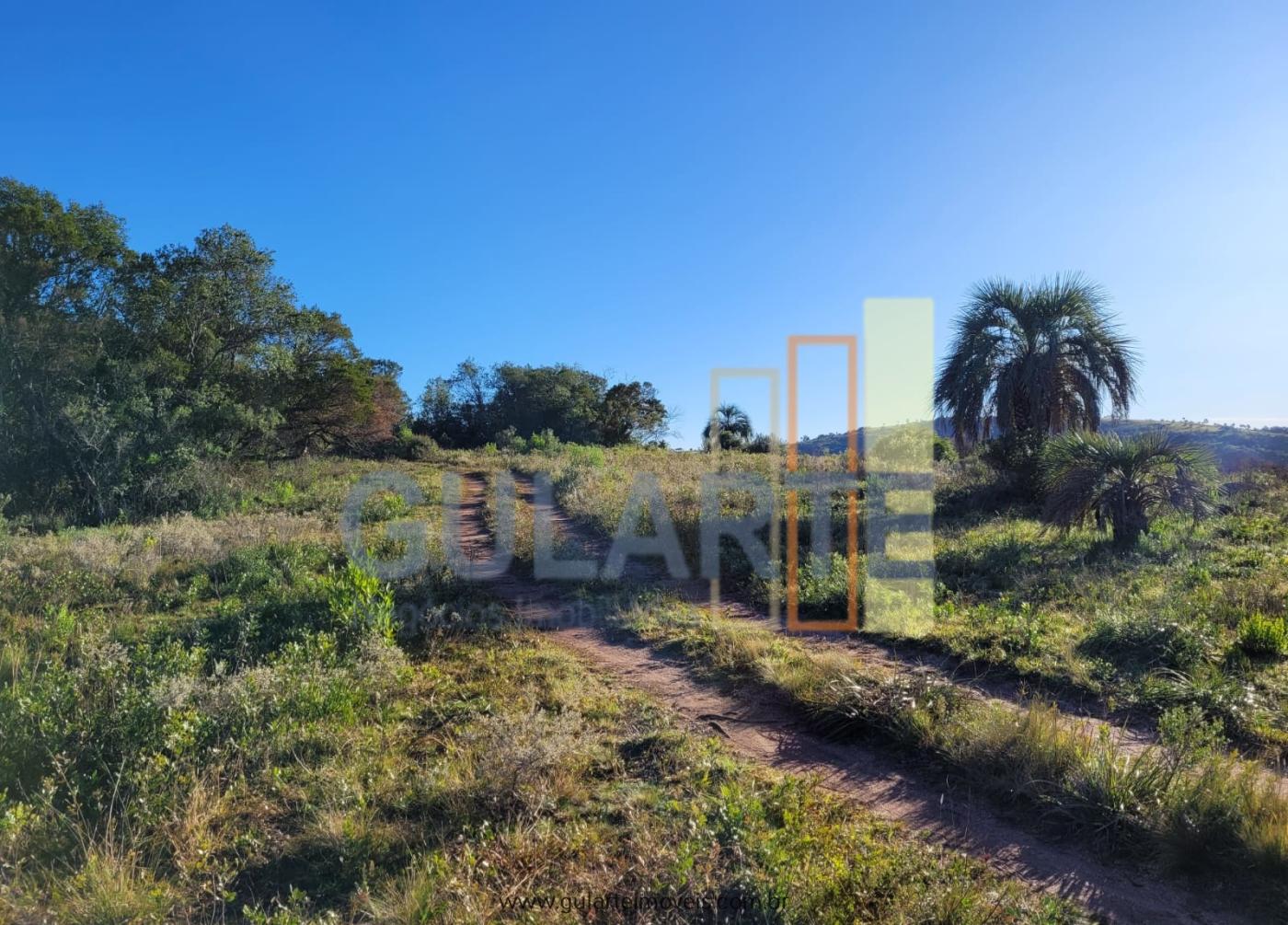 Fazenda à venda, 400m² - Foto 9