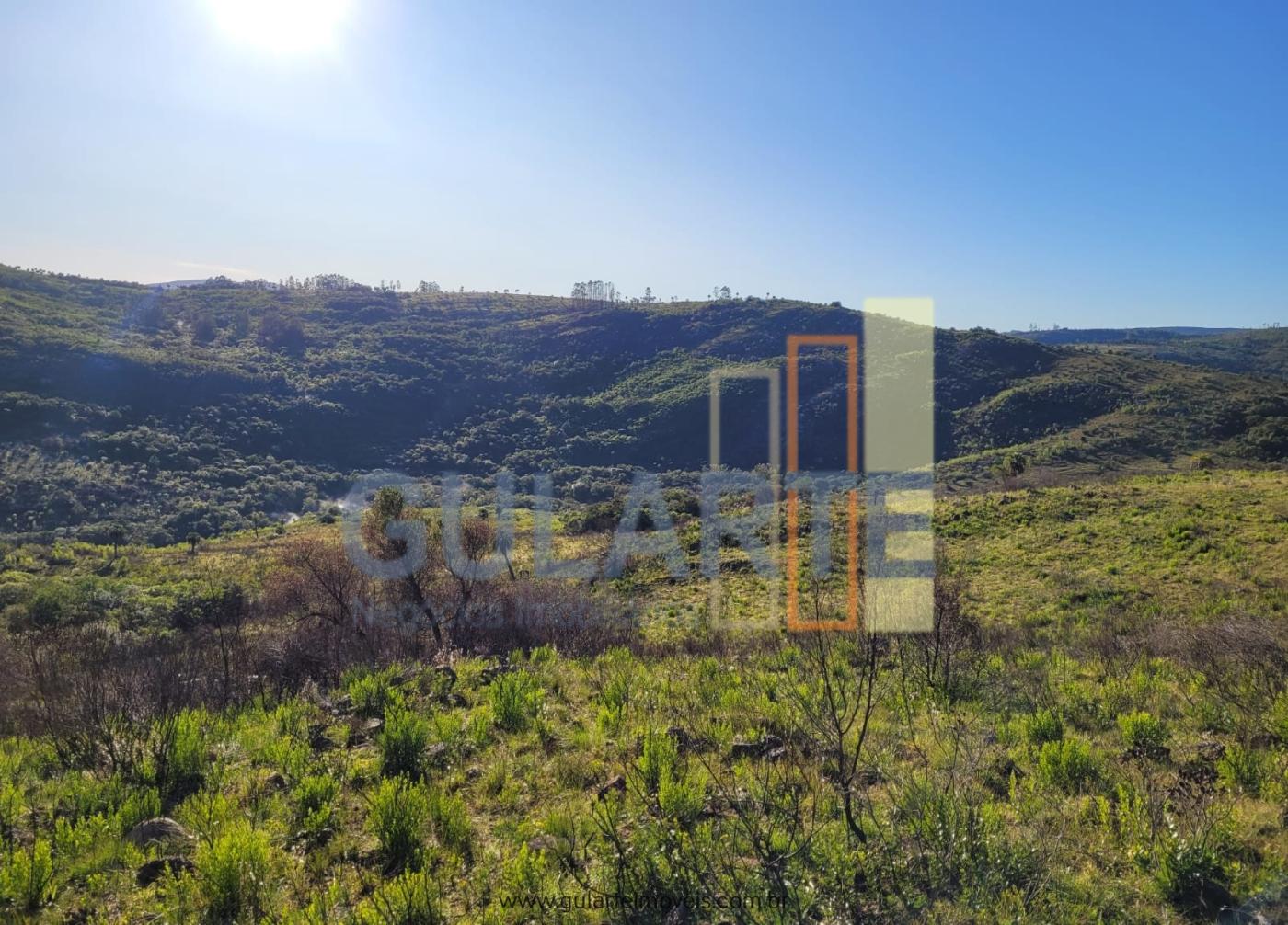 Fazenda à venda, 400m² - Foto 10