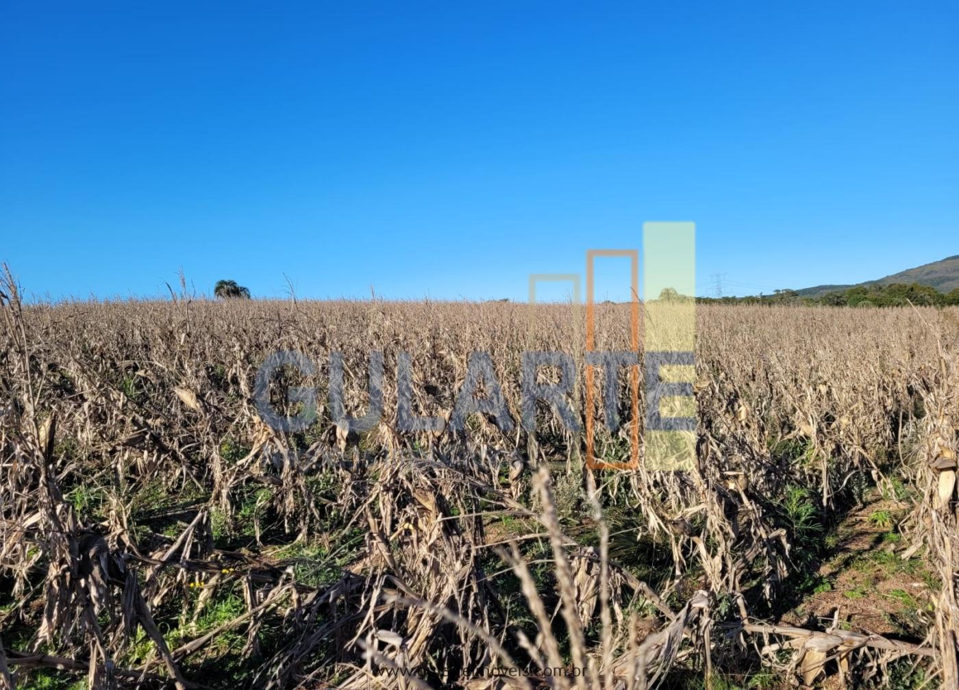 Fazenda à venda, 400m² - Foto 12