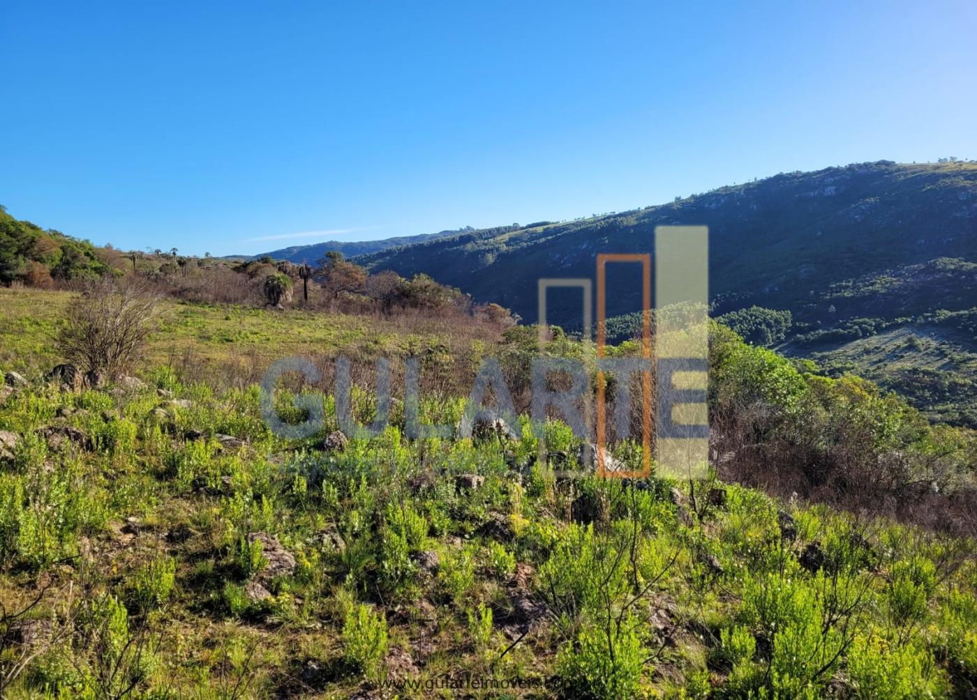 Fazenda à venda, 400m² - Foto 19