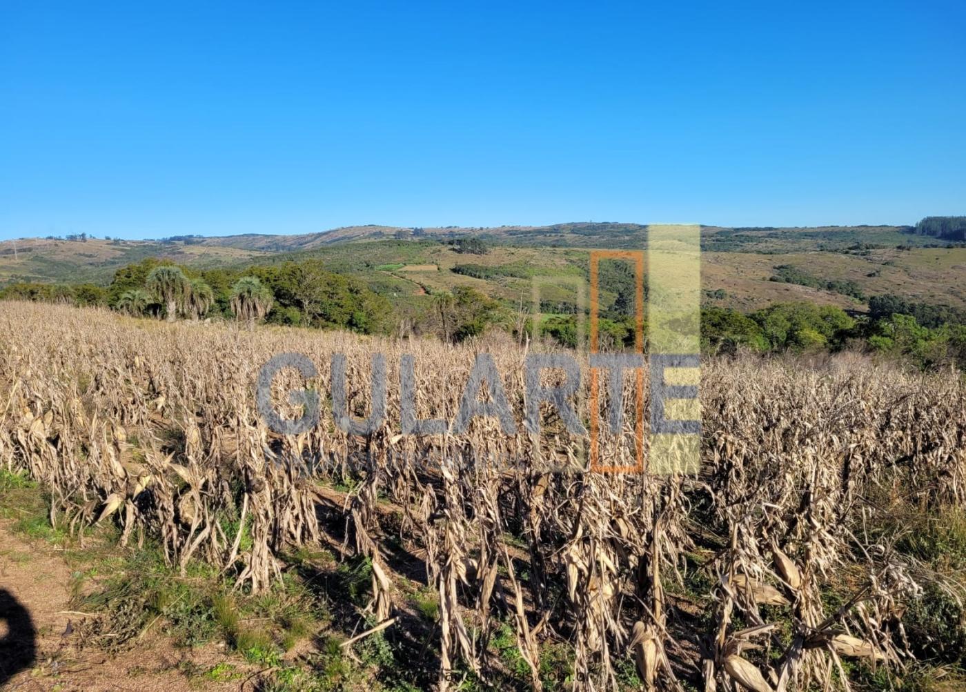 Fazenda à venda, 400m² - Foto 24