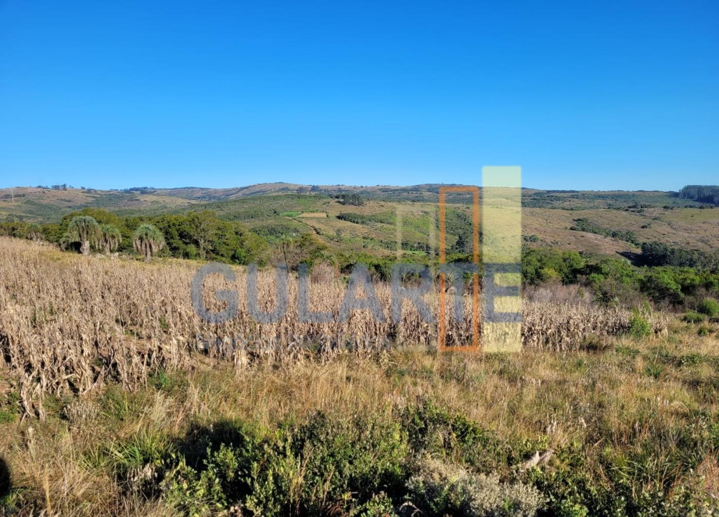 Fazenda à venda, 400m² - Foto 34