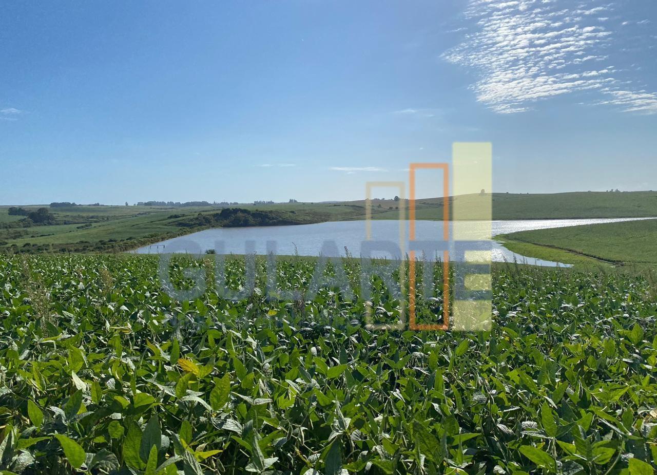 Fazenda, 707 hectares - Foto 2