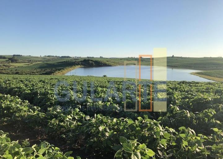 Fazenda, 707 hectares - Foto 7