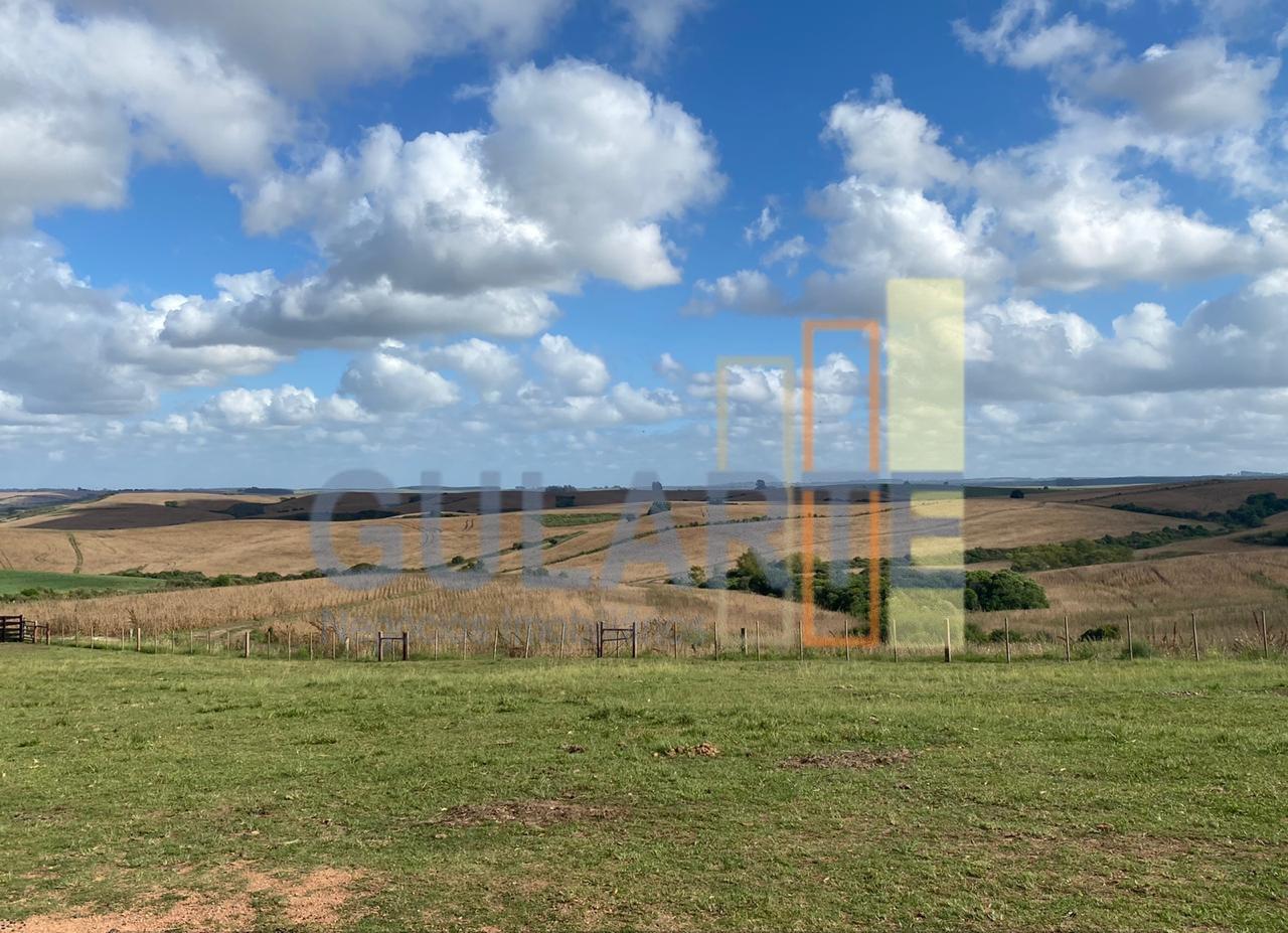 Fazenda, 707 hectares - Foto 5