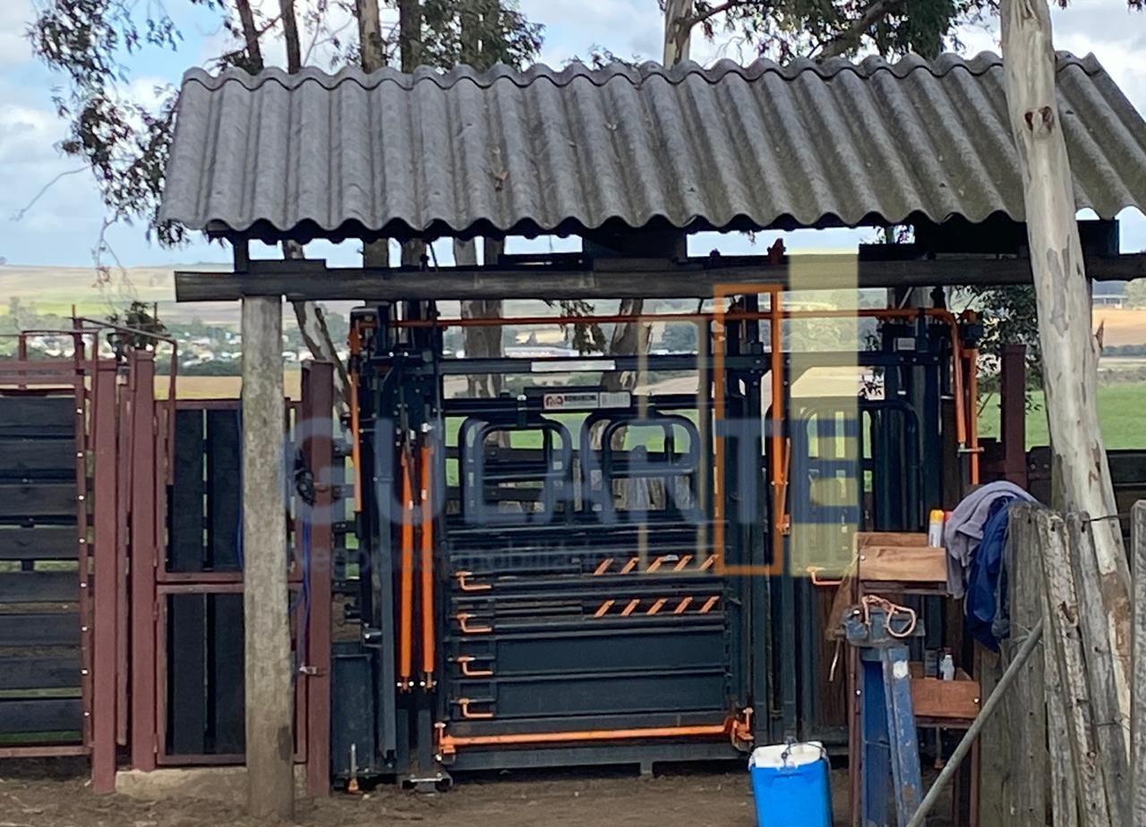 Fazenda, 707 hectares - Foto 12