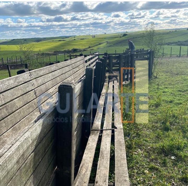 Fazenda, 707 hectares - Foto 11