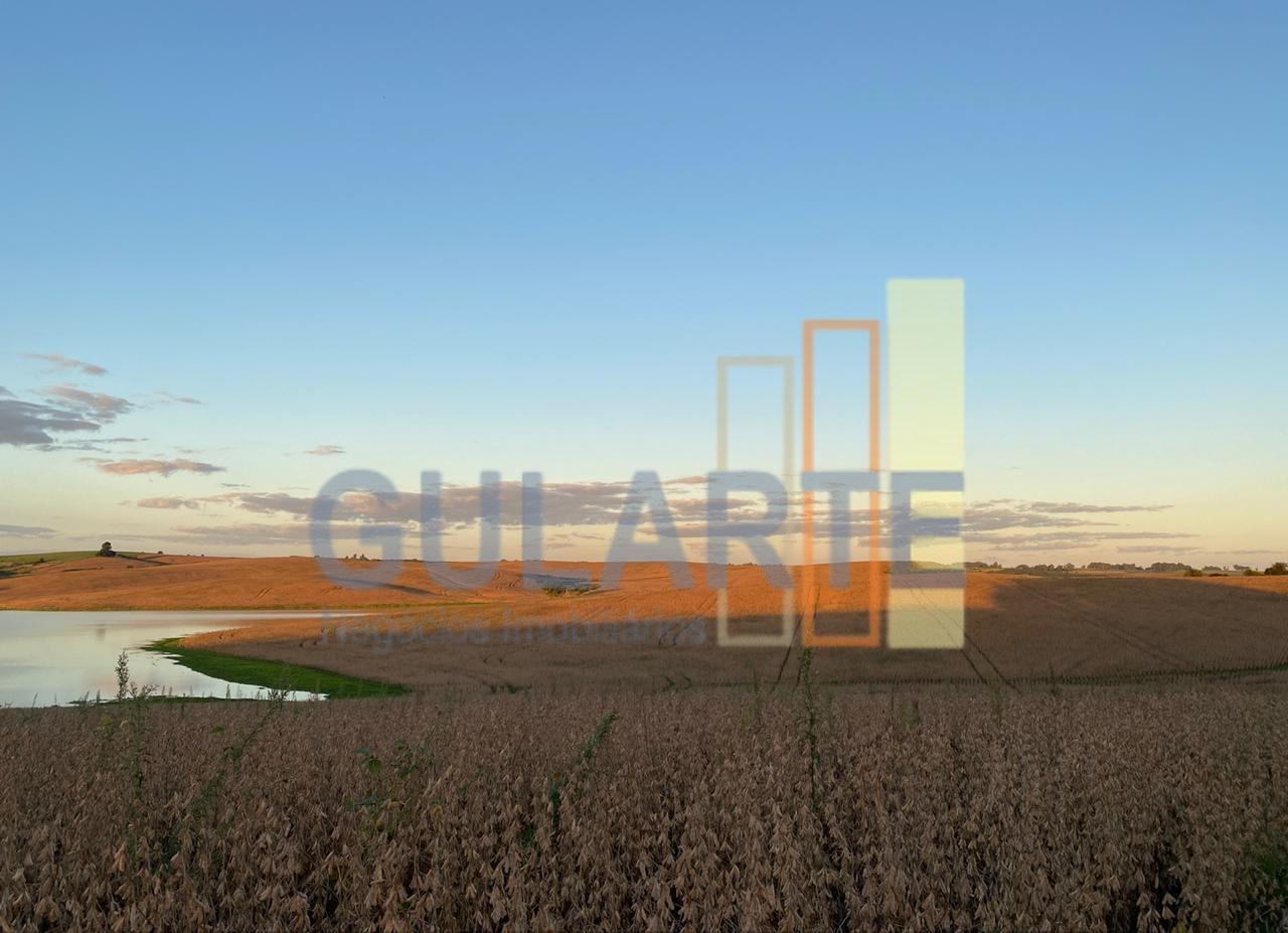 Fazenda, 707 hectares - Foto 8