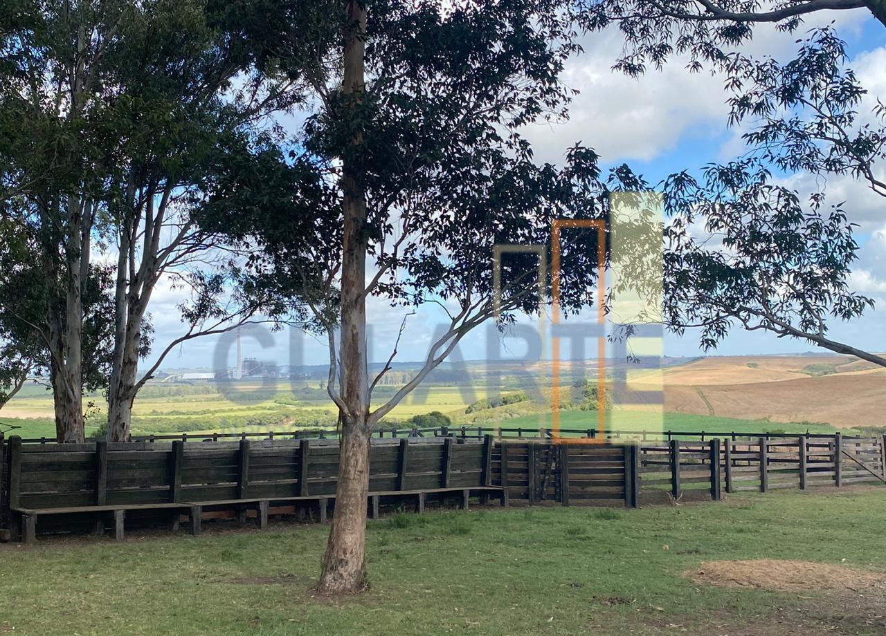 Fazenda, 707 hectares - Foto 10