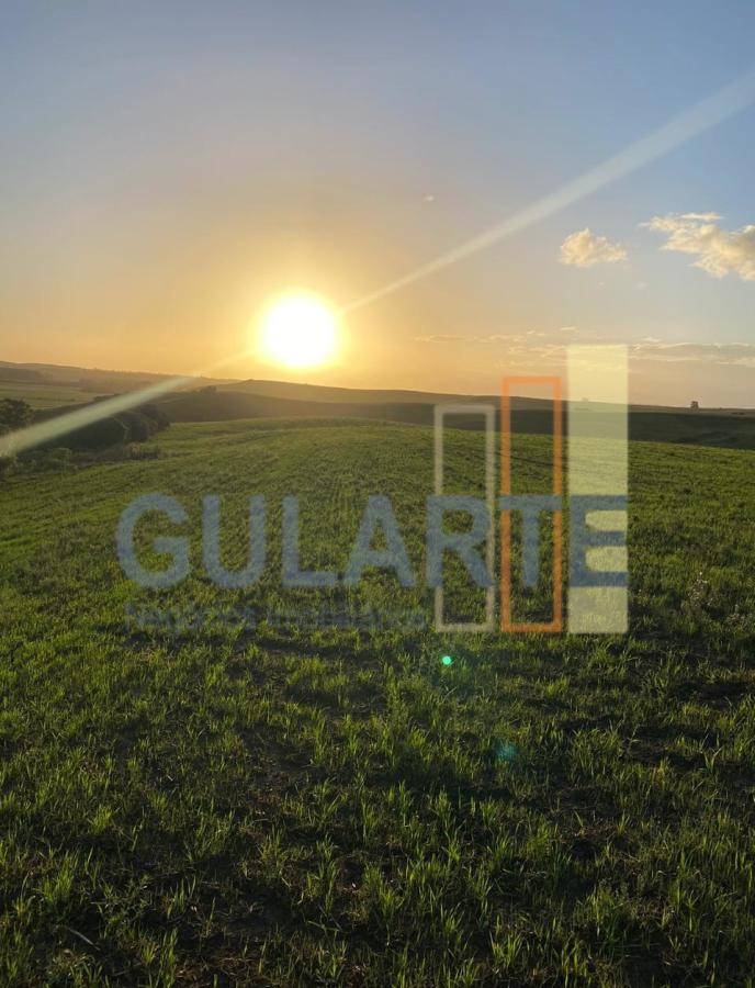 Fazenda, 707 hectares - Foto 6