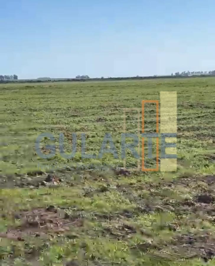 Fazenda, 600 hectares - Foto 3