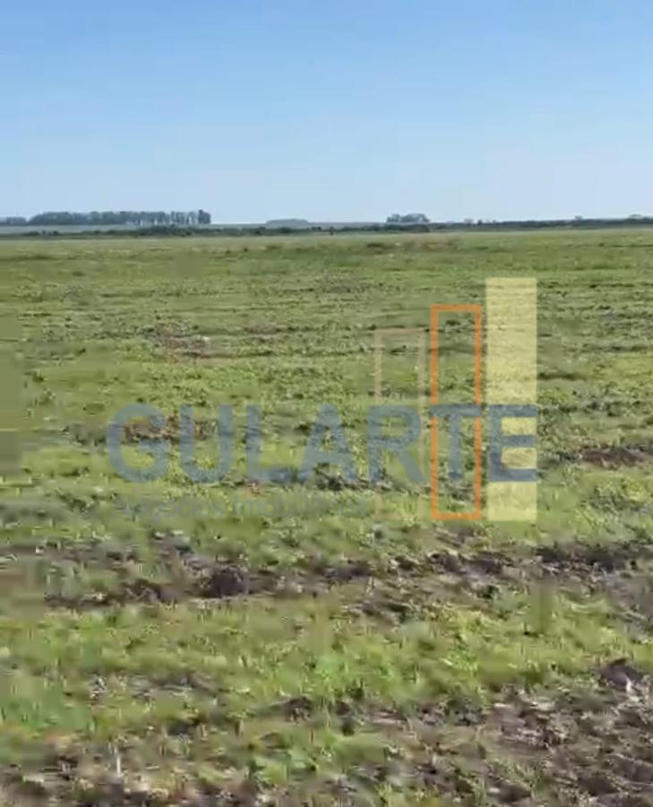 Fazenda, 600 hectares - Foto 1