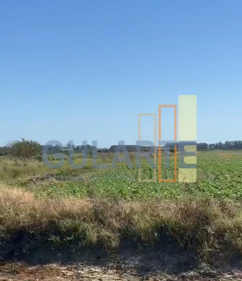 Fazenda, 600 hectares - Foto 7