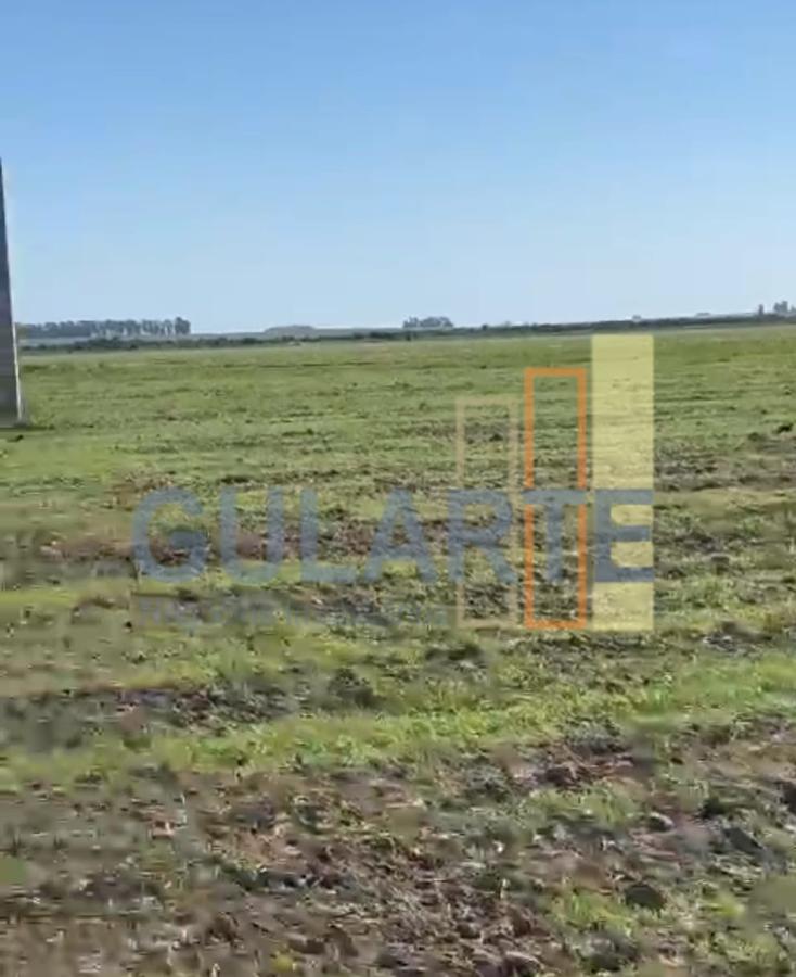 Fazenda, 600 hectares - Foto 8