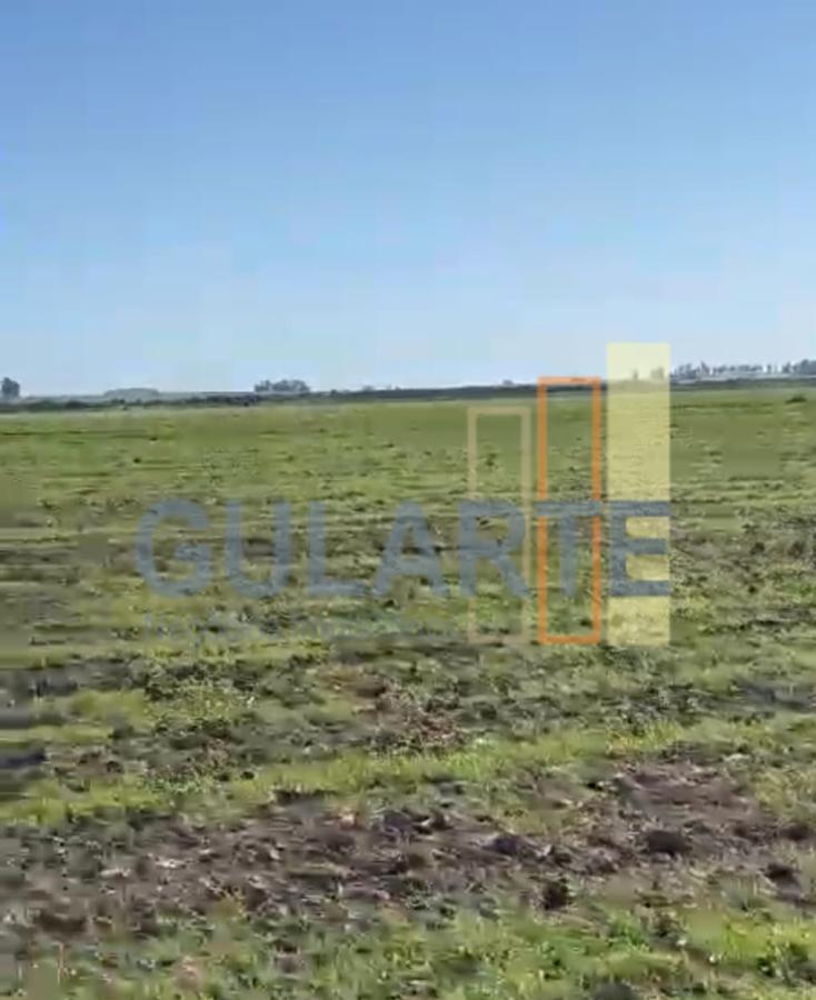 Fazenda, 600 hectares - Foto 4