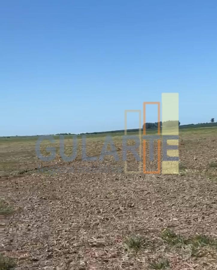 Fazenda, 600 hectares - Foto 6