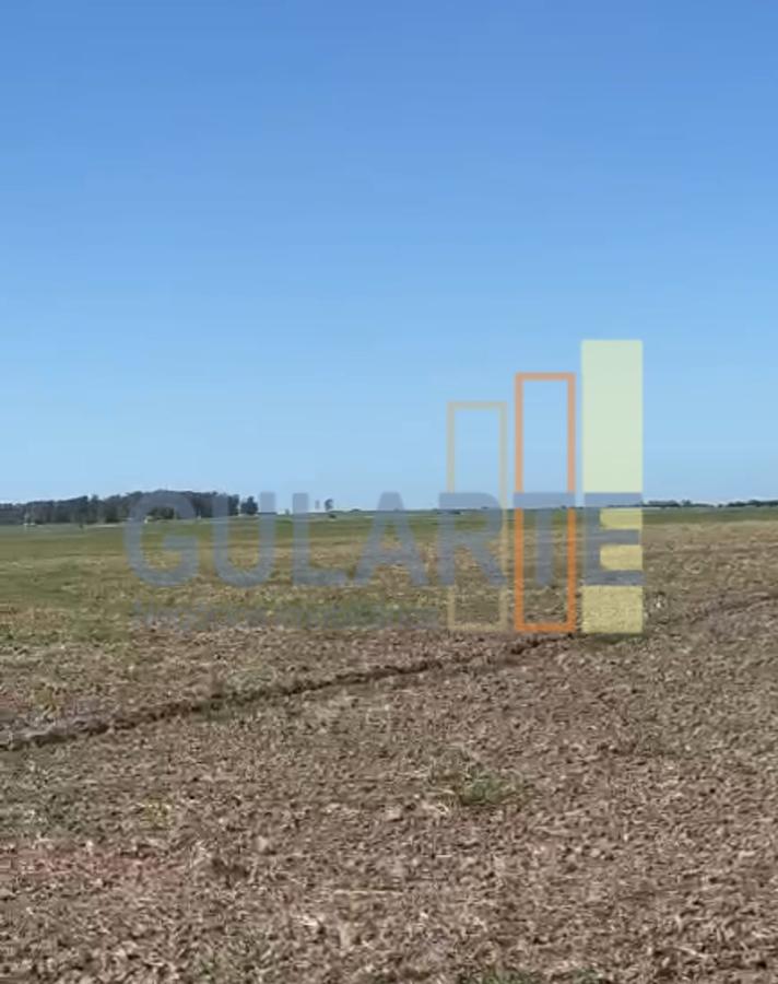 Fazenda, 600 hectares - Foto 11